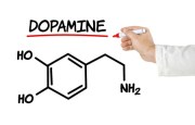 34033350 - chemical formula of dopamine on a white background
